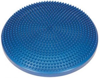TheraPro's Balance Disc Cushion