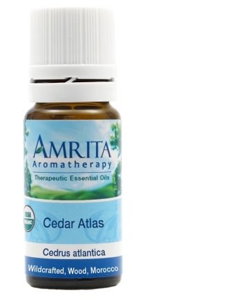 Amrita, Cedar Atlas, 10ml