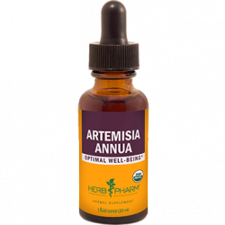 Herb Pharm, Artemisia annua 1 oz