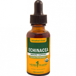 Herb Pharm, Echinacea Alcohol-Free 1 oz